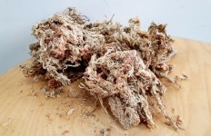 소포장 수태 (75g/150g) : 더그린 가든센터
