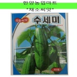 채소-수세미 씨앗 종자 20립 : 한양농업마트