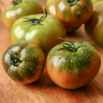 부산명물 오직 부산 대저동에서만 나오는 대저 짭짤이토마토 찰토마토 : 산지도매센타