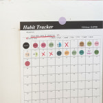 아이씨엘 Habit tracker -100days  해빗트래커  목표달성플래너 습관 루틴 갓생살기  골 작심 체크리스트  한달 3일 챌린지 : 아이씨엘 ICIEL
