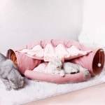 힐링타임 고양이 숨숨집 4종 (벚꽃,다방,카페,재즈바) 캣터널 고양이 하우스 : 어니스트펫