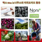 타히티안 클래식 맥스 노니주스 타히티안노니주스 모린다노니 파트너코 750ml 4병 : 노니카페 더노니