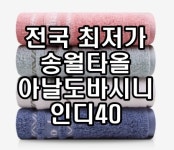 초특가 판매 송월타월 아날도바시니 인디40 : 송월타올 전국 도매 특판