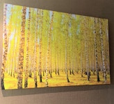 자작나무 액자 120x80cm 인테리어 거실 사무실 돈들어오는그림 황금빛 자작나무 숲A : 한결같이