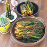 갓김치  1kg 여수돌산 해풍갓김치 정아네 돌산 갓김치 : 정아네돌산 갓김치