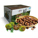 25년 공주 정안 밤 농장 옥밤 옥광 대 : 차령농원