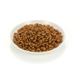 로얄캐닌 엑스스몰 (성견시 체중 4Kg 미만 초소형견) 어덜트, 11kg, 1개 : 펫 마트