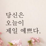 레터링 카페 스티커 당신은 오늘이 제일 예쁘다 검정S : 어썸투데이