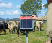 ★★동급최강 스피드라이트 태양광목책기 S500 : 백년가게