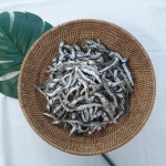 남해통영 햇 다시멸치 육수용 국물 대 멸치 지리 고바 고노리 디포리1.5kg : 바다애씨푸드