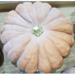 맷돌호박씨앗 10립/늙은호박 종자 : 원진약초농원