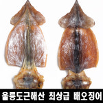 경아상회 울릉도 근해산 배오징어 해풍 건조오징어 마른오징어 10마리 750g : 경아식품