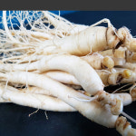 산지직송 금산인삼 수삼 난발삼 원수삼 파삼 세척 선물세트 : 농우리