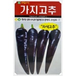 아람 가지고추씨앗 10립-안토시아닌 블랙푸드 : 서진농약사