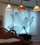 라탄공예재료 전등갓만들기 재료 (소켓 E26) : 한올라탄몰