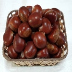 노루골농원 햇밤 옥광밤대3kg : 노루골농원