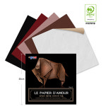 종이나라 종이접기 35cm 크라프트지 다물 5색10매 x 5입-50매(1속) 전문가용 큰색종이 대형 : 제노컴퍼니