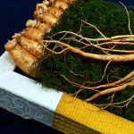 6년근인삼 수삼선물세트 4호 (1154) : 한국인삼유통공사