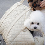 퍼피엔젤 NEW 드라이빙킷 애견카시트 M사이즈 4칼라 TR013 : 펫밀리마트