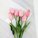 폴링스타 튤립조화 인테리어플라워 디퓨저 꽃 장식 핑크 : 아로마로즈힐