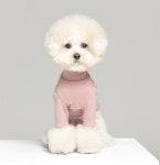 엔돌펫 5컬러 사이즈 S-XL 스펀지 목 티셔츠 명품 강아지옷 애견의류 마이앨리스독 : 마이앨리스독