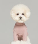 엔돌펫 5컬러 사이즈 S-XL 스펀지 올인원 명품 강아지옷 애견의류 마이앨리스독 : 마이앨리스독