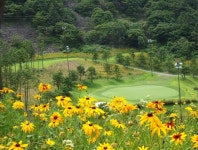 경남 거제 거제뷰cc 1박2일 골프 패키지 경상도골프장 : 세이브투어