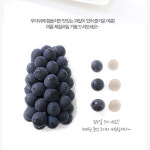 김천 당일수확 씨없는 거봉 포도 : 큰개울농장