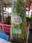 부부가 직접 농사지은 청정 무농약 청도 한재 미나리 500g, 1kg : 부산농장