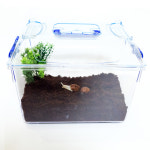 달팽이 키우기 사육통 총집합 : 센트럴곤충생태농장