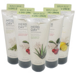 더페이스샵 허브데이 마스터 블렌딩 폼클렌징 아세로라 블루베리 : 툰툰사업