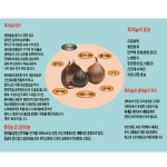 히말라야 티베트 샹그리라 엘엔엘 통흑마늘 500g : 888shopping