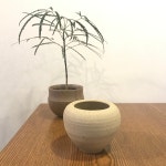 동글이화분 : 예쁜그릇 서랑