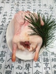 [강황먹인] 생오리 통오리 산양산삼 한방오리백숙 세트 2.0kg-2.2kg 전/후 : 산약초이야기 건강촌