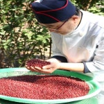[오동리 팥물] 국내산 팥만으로 만든 달지않은 팥물(상온보관 500ml) : 칼국수한마당 오동리팥죽