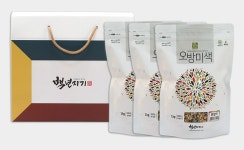 오방미색 칼라쌀 선물세트 (1kg×3개) : 백년지기