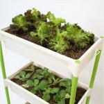 실내텃밭 아파트베란다텃밭화분 2단 : 하루웰빙 광진구지점