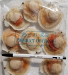 가리비(냉동 반가리비)  5-6미(180gr) / 7-8미(180gr) : 프라임수산