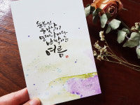 캘리그라피 엽서 (눈부신 여름) : 마음꽃밭