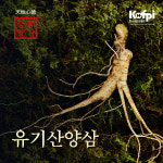 청풍명가 유기농 산양산삼 9년근 3뿌리 : 청풍명가 남천영농조합법인