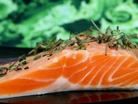 참치몰 HACCP 프리미엄 연어 생연어 숙성연어 슬라이스 연어샐러드 : 참치몰