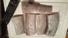 국산 먹갈치 왕특대 두마리 마리당무게500-950g   2-3마리1.5kg 57000원 : 마산수협중매인 4번상회