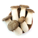 친환경 새송이버섯 400g : 자이담