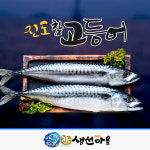 진도 참고등어 : 진도생선마을