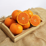 제주 강순희 천혜향 10kg 5kg 가정용 고당도 산지직송 : 제주댁네농산물