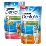 퓨리나 덴탈라이프 캣 51g(2종선택) 이빨과자 : 주식회사 와와펫