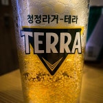 테라 맥주 전용 잔 TERRA : 소유의 만물상