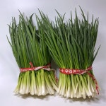 깐쪽파 실파 깐파 대파모종 500g 1kg : 똑순상회