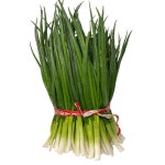 깐쪽파 실파 쪽파한단 대파모종 500g 1kg : 똑순상회