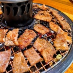 정직한갈비 돼지갈비포장 구이 부들 양념 왕 알찬미트 1.2kg : 나홀로 집에